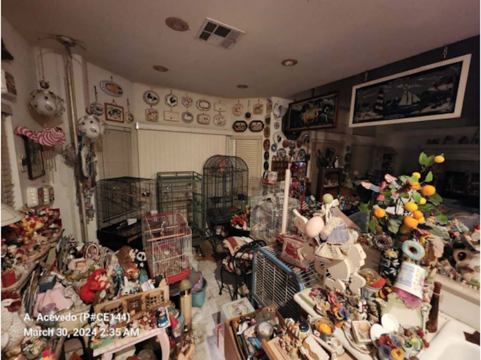 Boulder City Police say they found 51 guinea pigs and rabbits, with 11 of the guinea pigs...