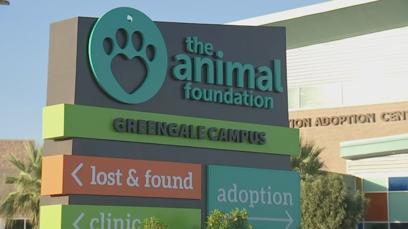 Animal Foundation: 40 dogs showing respiratory symptoms; 11 positive