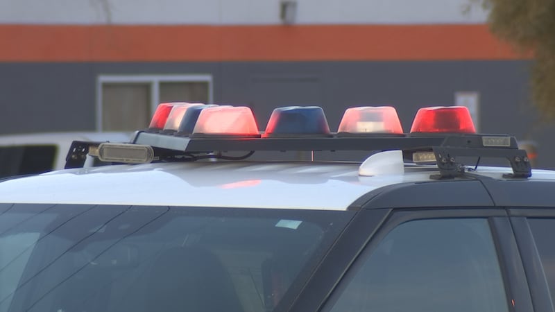 Las Vegas police lights generic