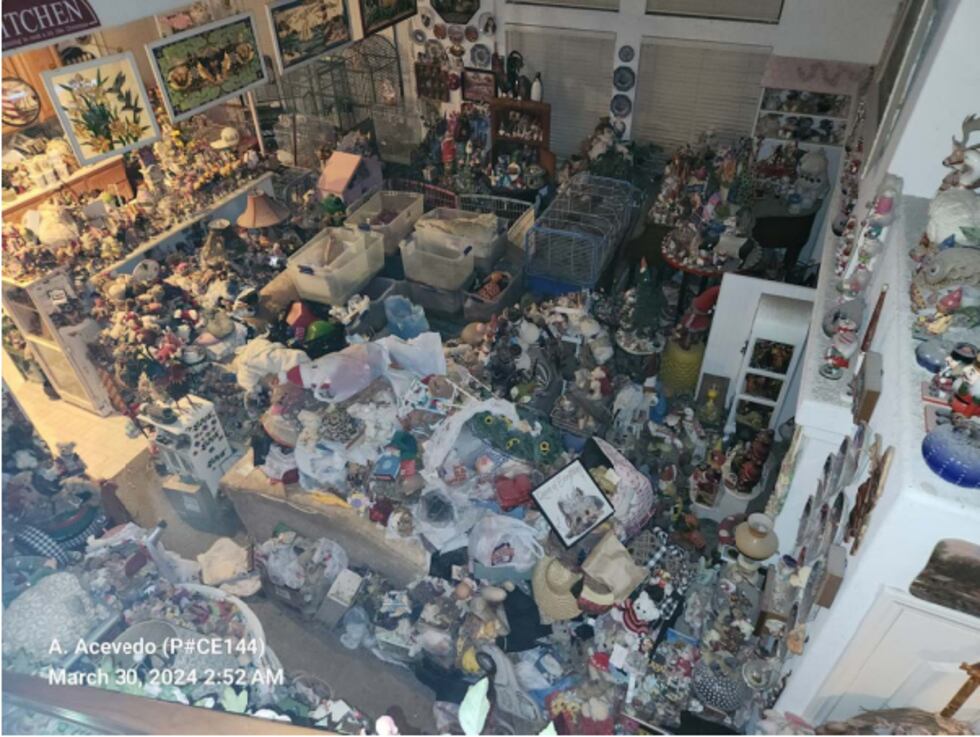 Boulder City Police say they found 51 guinea pigs and rabbits, with 11 of the guinea pigs...