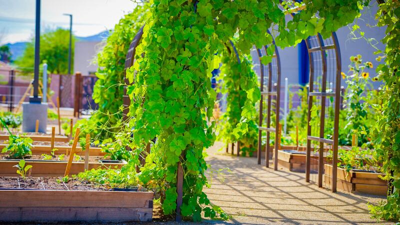 Henderson set to open park that features city’s first-ever community garden