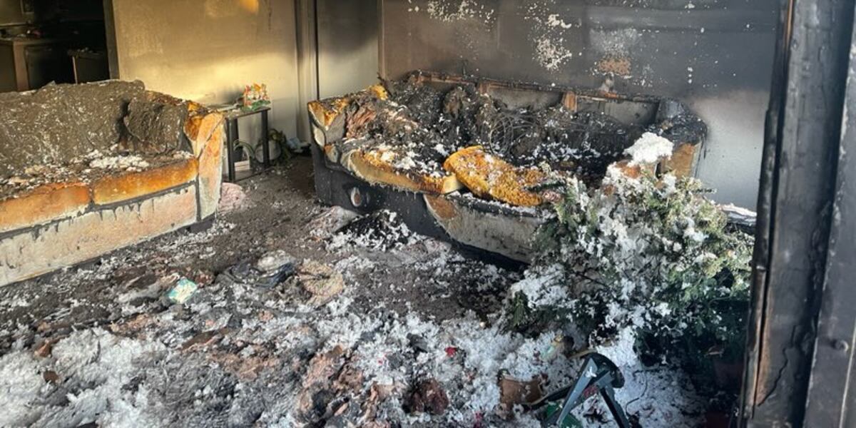 43 displaced in 3 separate Las Vegas Valley fires 43 displaced in 3 separate Las Vegas Valley fires