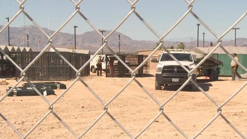 Kennels built outside Nye County Animal Shelter for nearly 300 dogs part of animal cruelty case