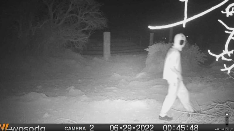 Police looking for suspect that shot and killed four horses at Red Rock Canyon.