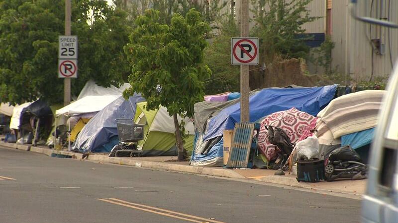 An estimated 1 in 30 young children in Hawaii experience homelessness annually, according to...