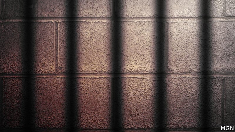 Two prisoners in the video have been placed in segregation at the Macomb prison in suburban...