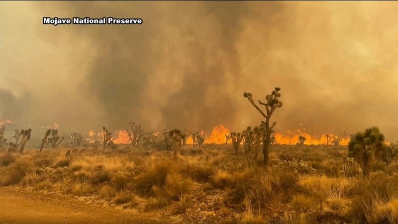The York Fire is currently at 70,000 acres and 0% containment.