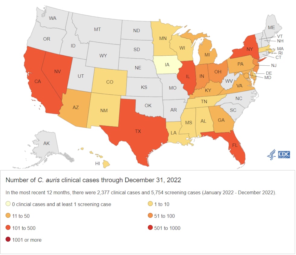 Candida Auris cases nationally over the past 12 months