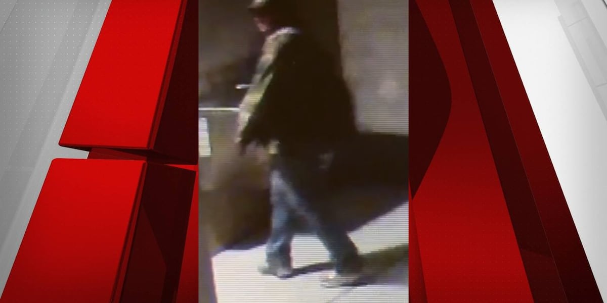 New video shows knife-wielding suspect spotted at Wetlands Park New video shows knife-wielding suspect spotted at Wetlands Park