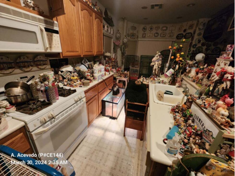Boulder City Police say they found 51 guinea pigs and rabbits, with 11 of the guinea pigs...