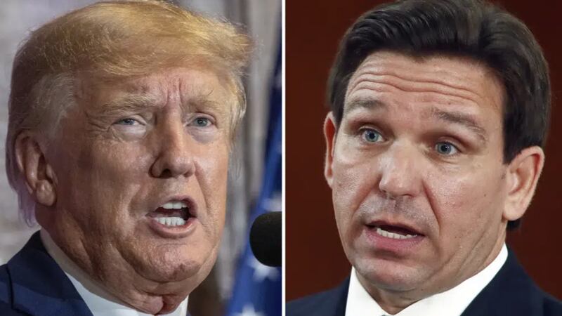 Former President Donald Trump reportedly views Florida Gov. Ron DeSantis as his only rival for...