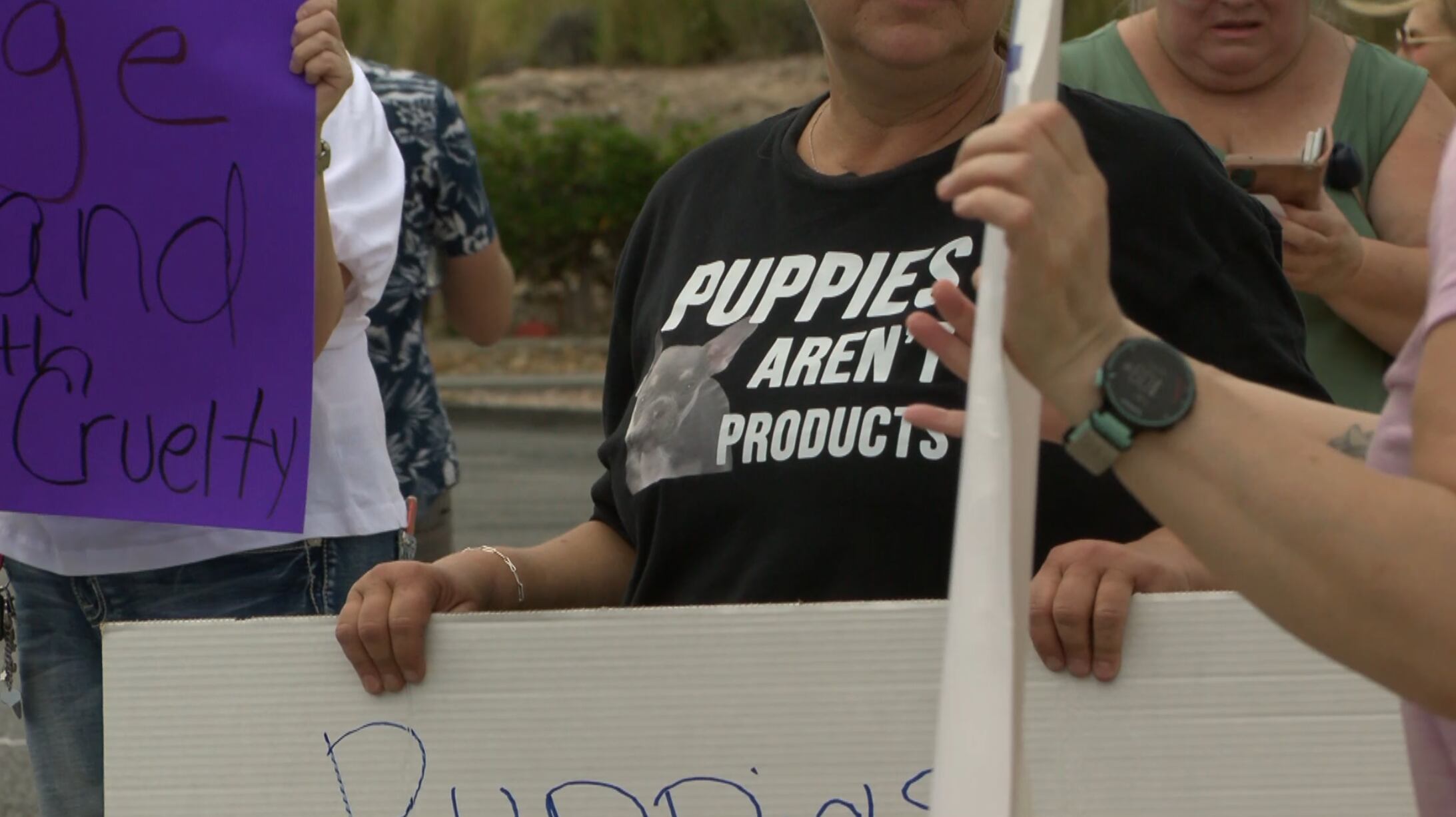 Animal advocates call for investigation into Las Vegas pet store after hoarding case - Vimarsana News